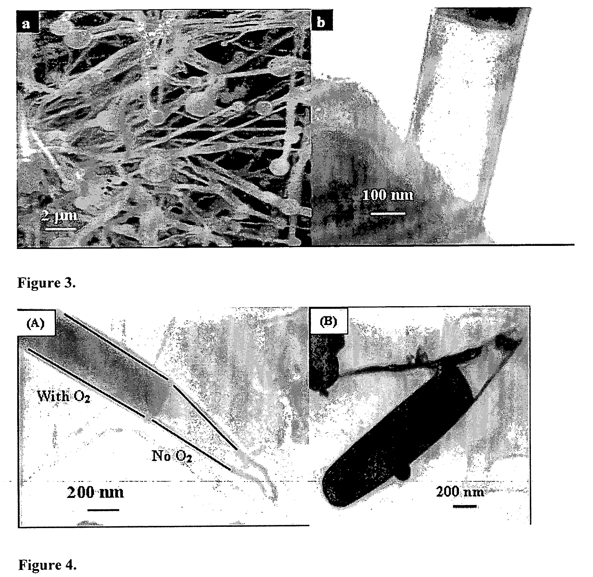 Tubular carbon nano/micro structures and method of making same