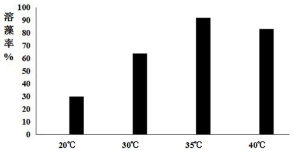 Microcystis aeruginosa lysozyme and application thereof