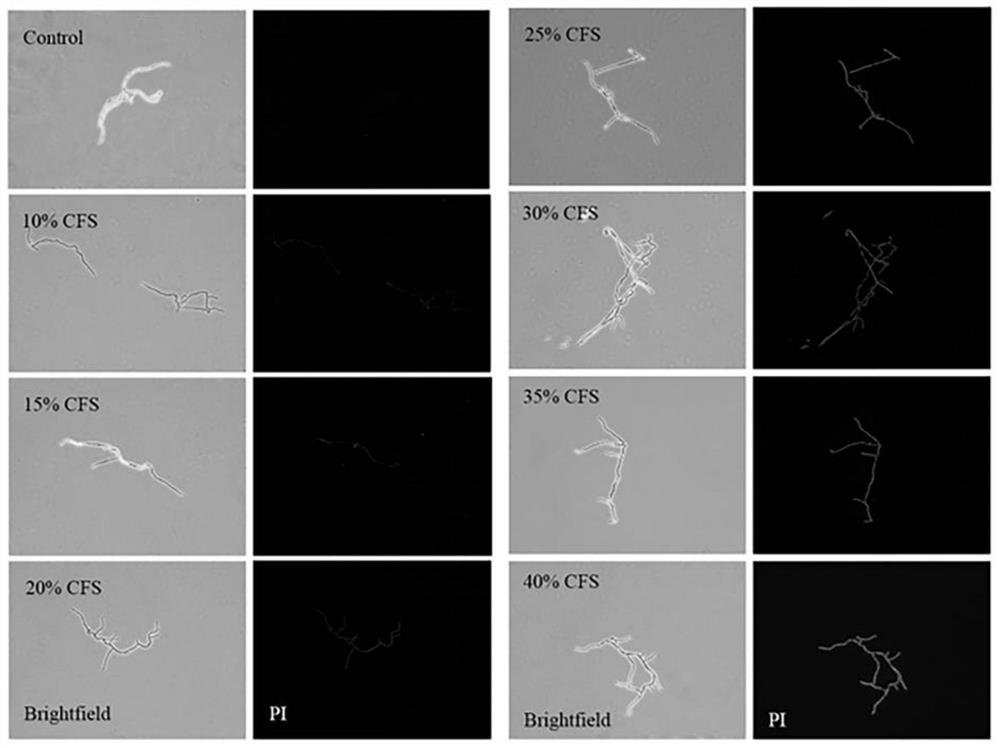 A kind of filamentous fungus inhibitor and its application