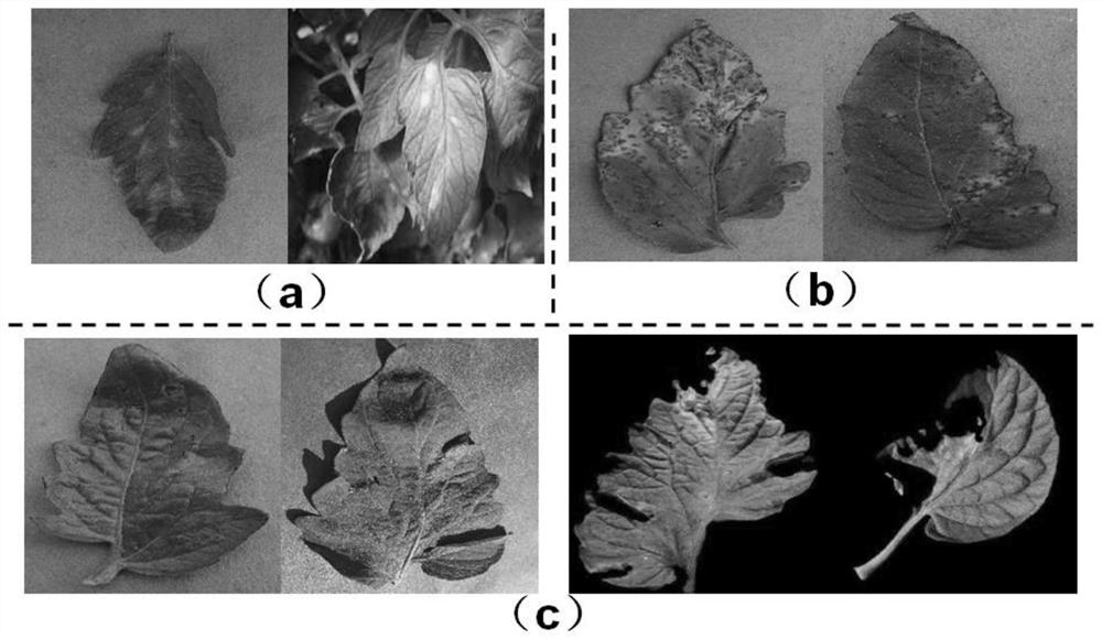 Automatic crop disease and pest identification method suitable for fields