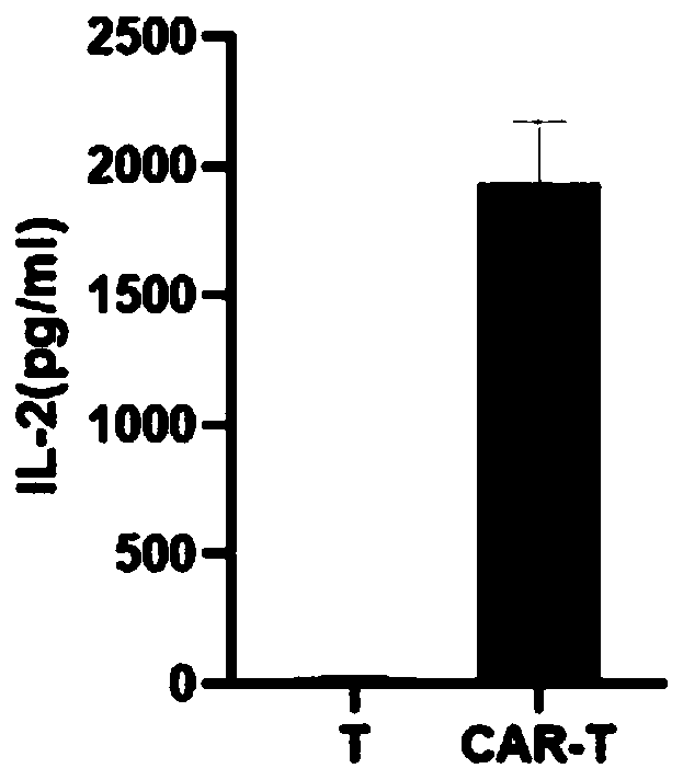 Dual-target chimeric antigen receptor and expression vector and application thereof