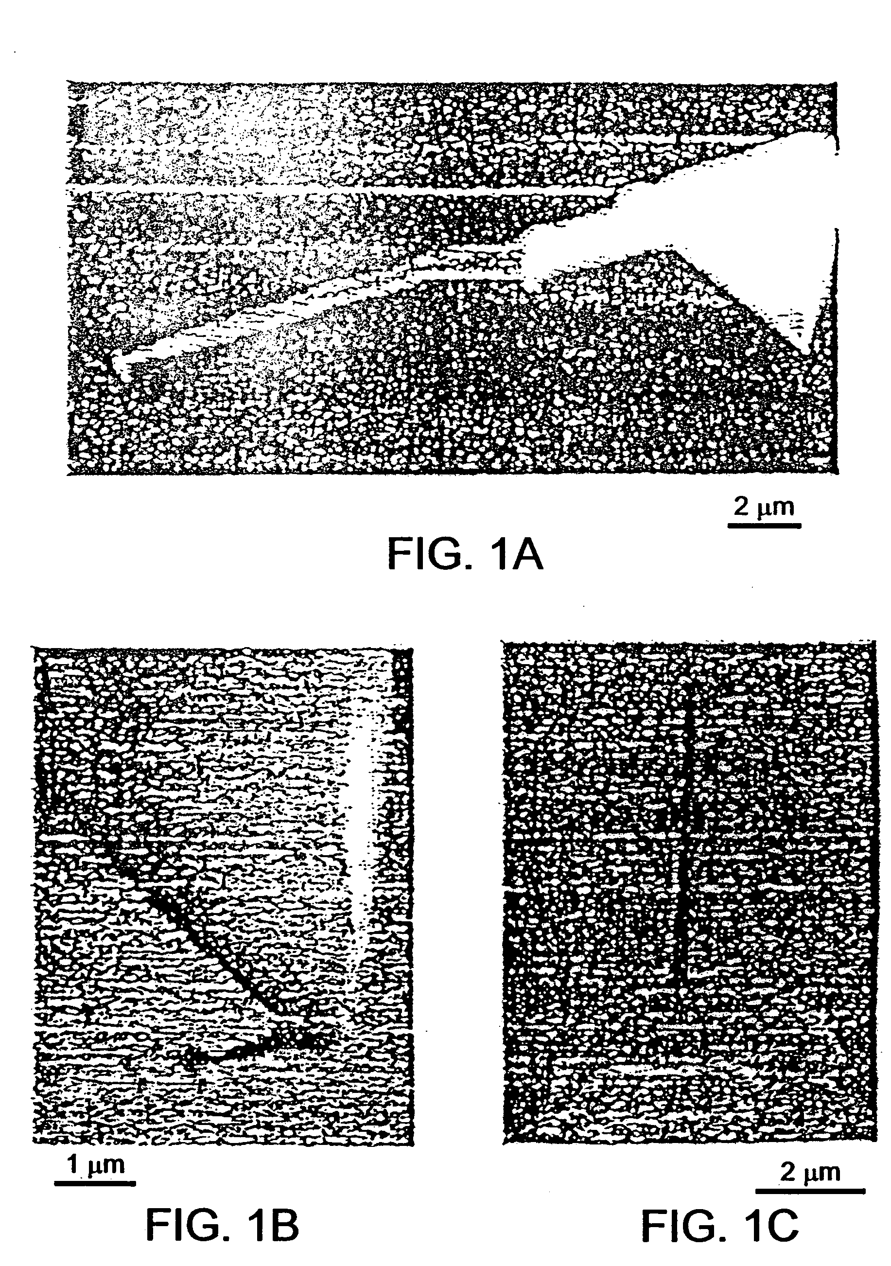 Afm cantilevers and methods for making and using same