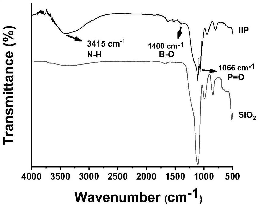 Preparation of an ion-imprinted polymer based on ribonucleotide functional monomers