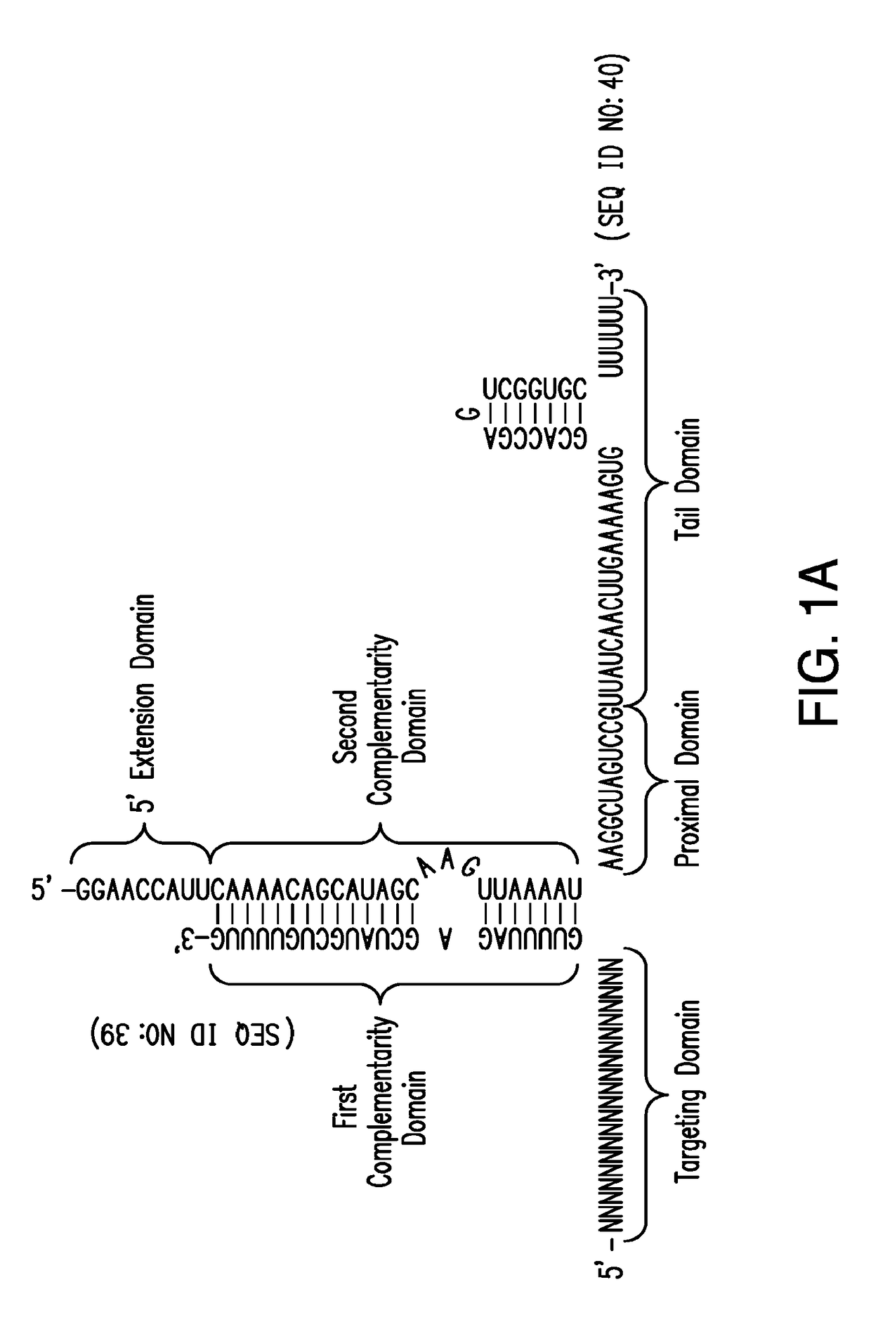 Crispr/cas-related methods and compositions for treating hepatitis b virus
