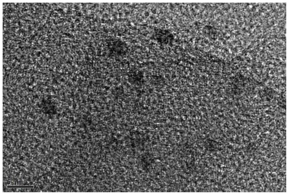 A nitrogen-doped carbon-coated catalyst, its preparation method and application