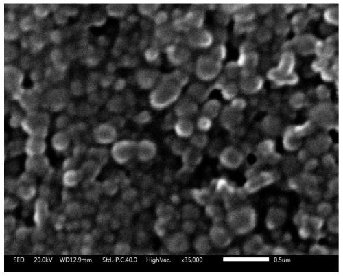 A method for rapid and simultaneous preparation of lignin nanoparticles and carbon quantum dots