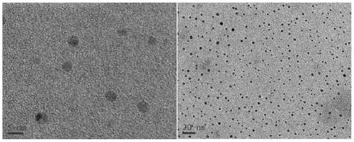 A method for rapid and simultaneous preparation of lignin nanoparticles and carbon quantum dots