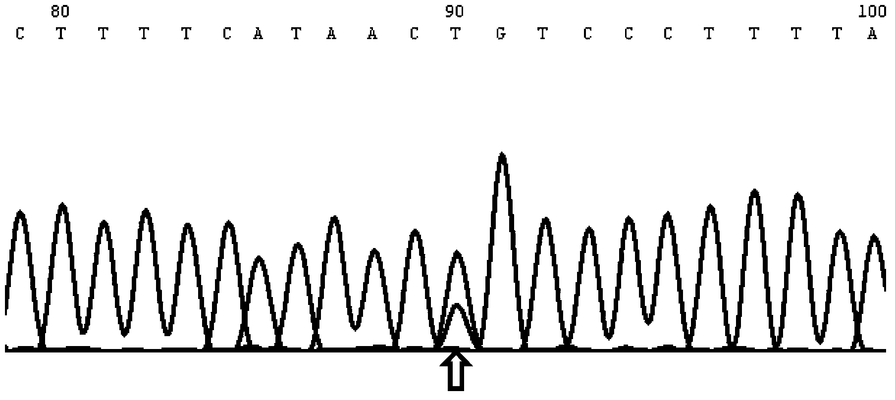 Applications of human SAMD9L gene and protein product encoded by human SAMD9L gene