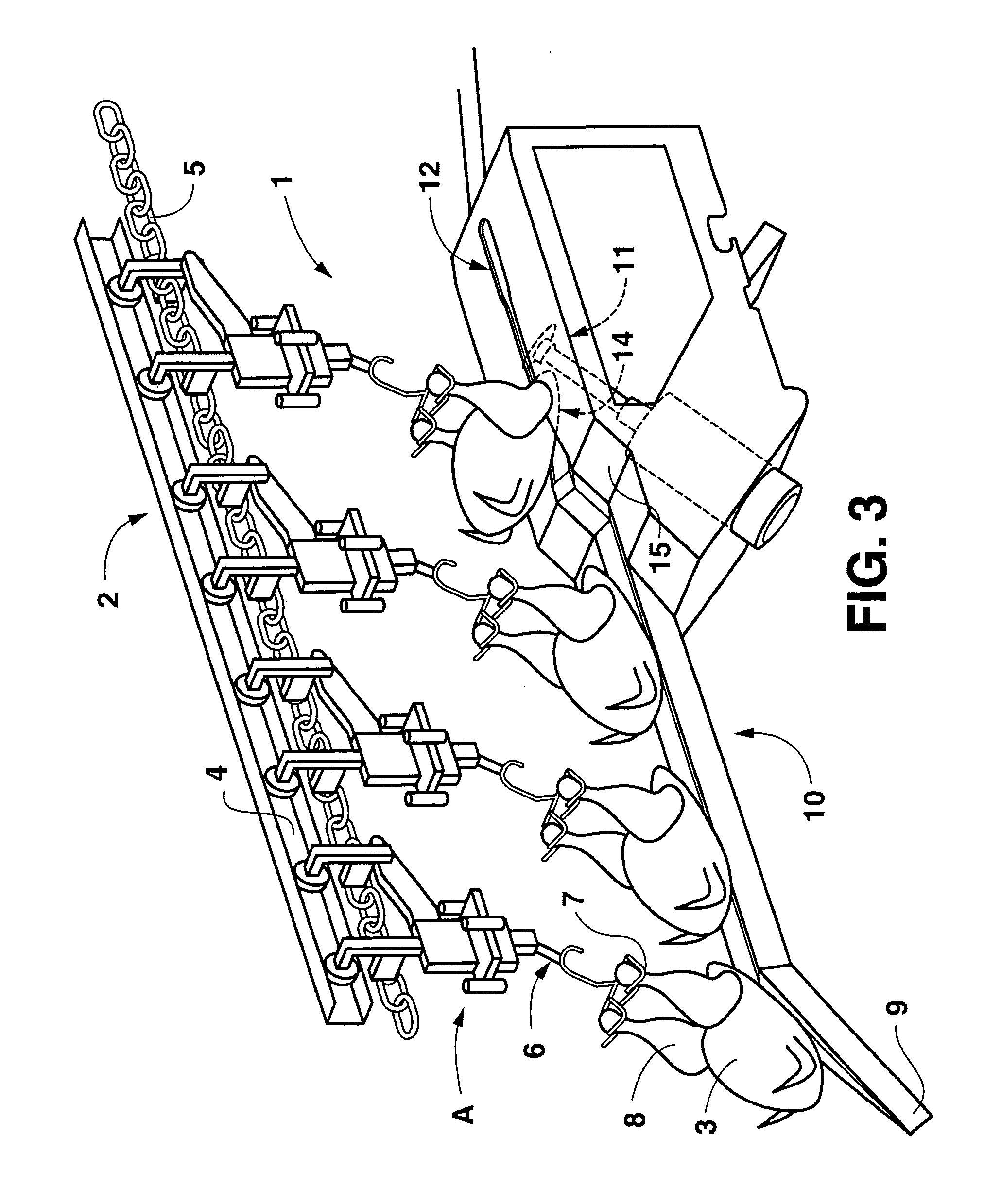 Apparatus for automatically removing a tail from poultry