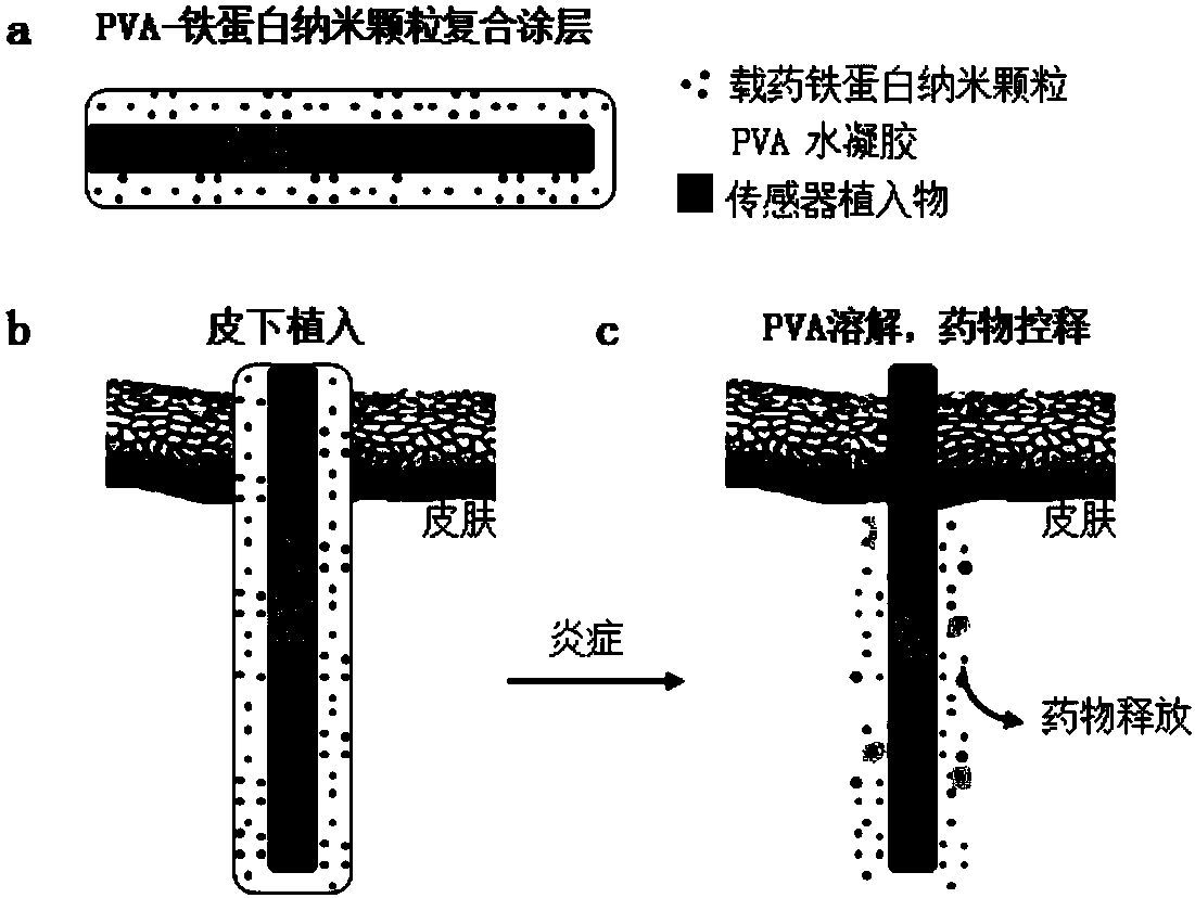 Preparation and application of stain-resistant coating on surface of implantable sensor