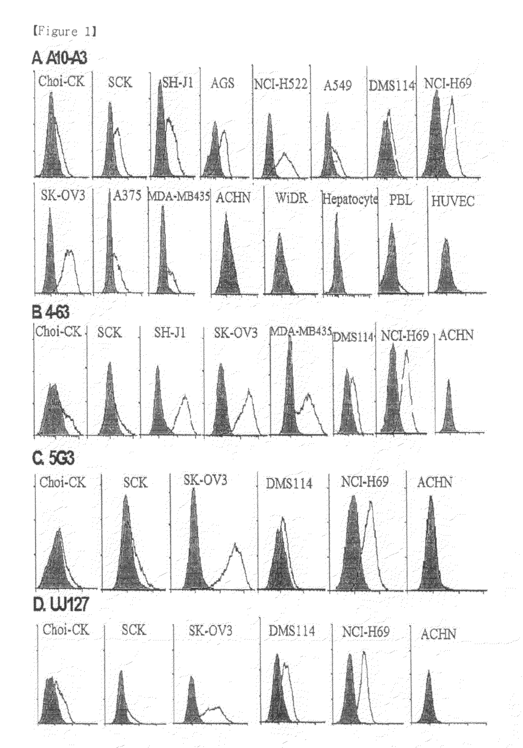 Pharmaceutical composition for treating cholangiocarcinoma, a method for inhibiting growth or invasion of cholangiocarcinoma and a method for treating cholangiocarcinoma