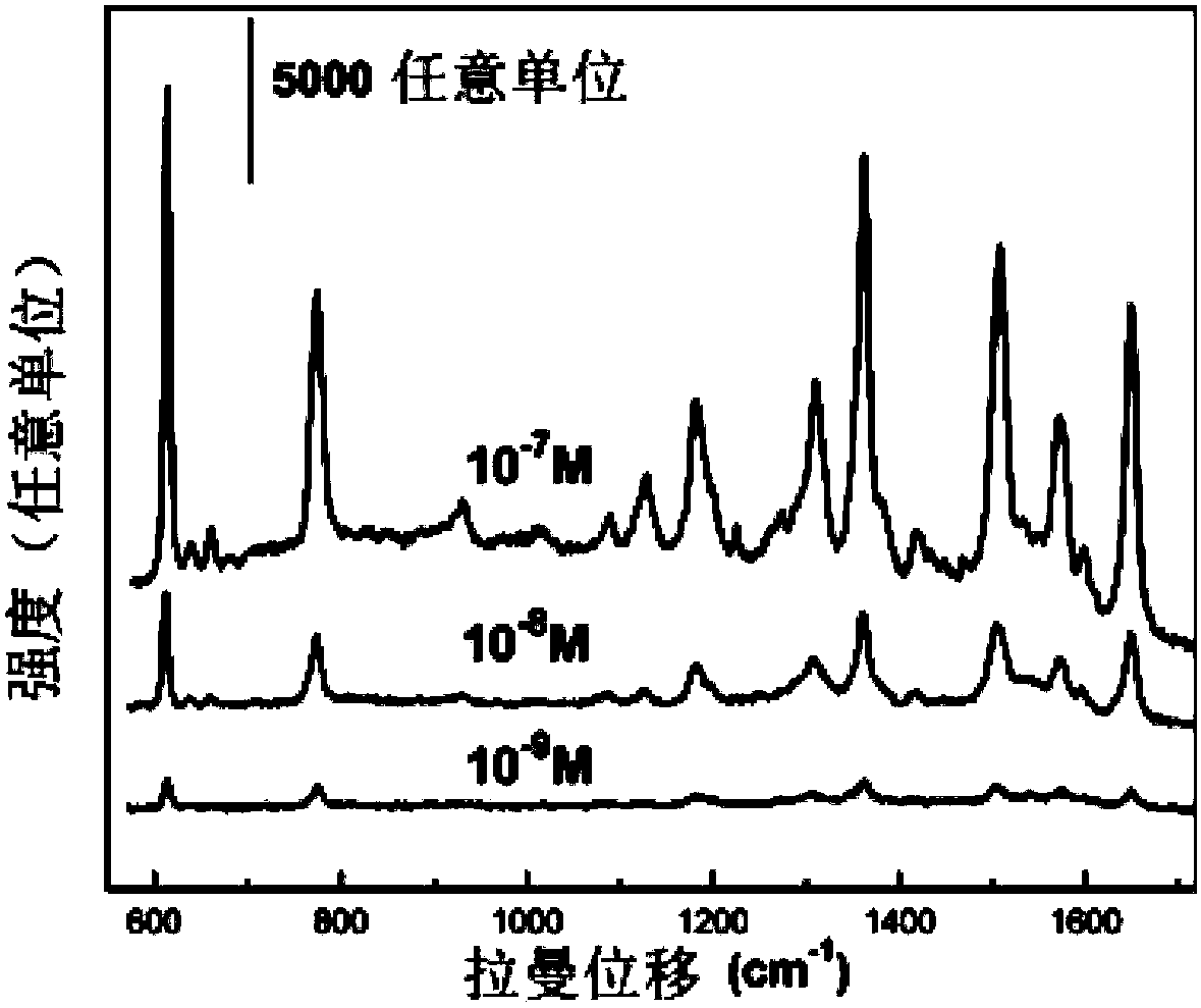 Gold micron feather cluster modified with silver nanoparticles and preparation method and application thereof
