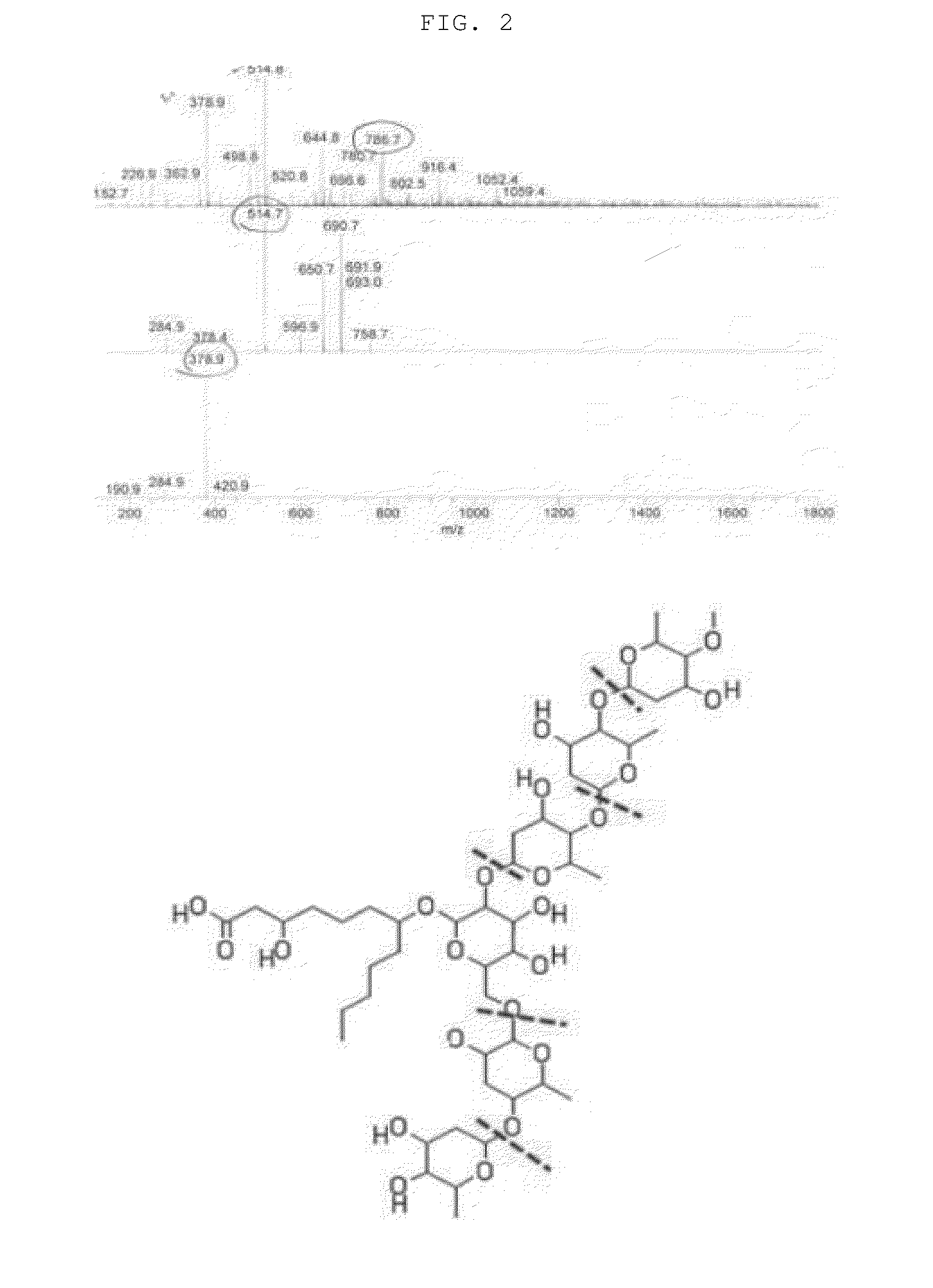 Novel compound isolated from quamoclit, and composition for preventing or treating diabetes containing the compound as an active ingredient