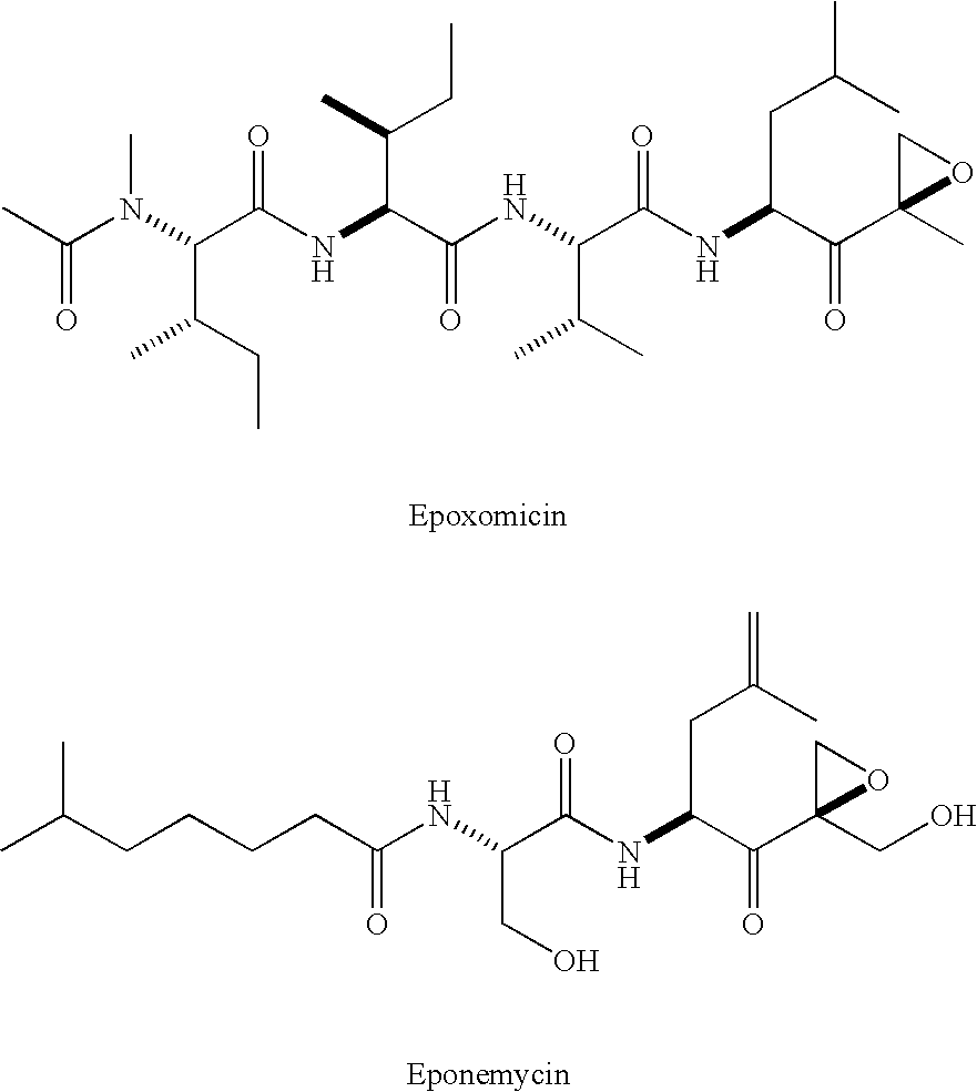 Eponemycin and epoxomicin analogs and uses thereof