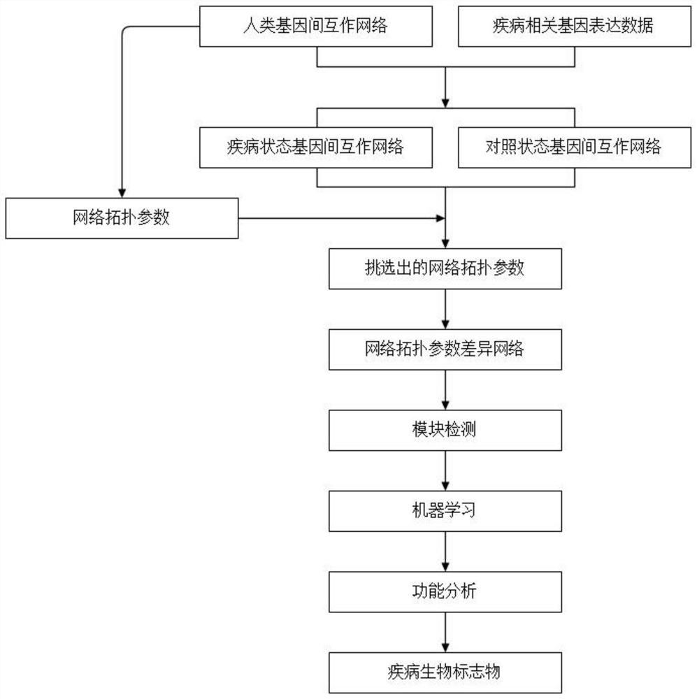 Method and system for screening cancer biomolecular markers based on network topology parameters