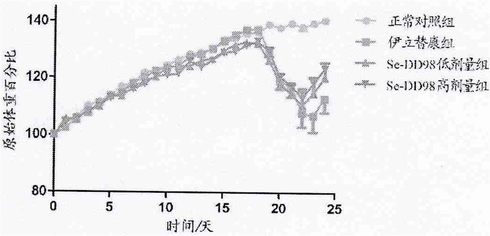 Selenium-enriched probiotics for affecting mouse diarrhea and intestinal canal florae caused by irinotecan