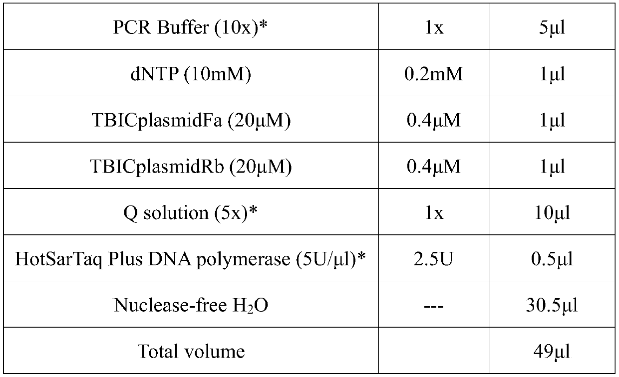 Sample treatment reagent and kit for detecting mycobacterium tuberculosis nucleic acid and nucleic acid amplification method of mycobacterium tuberculosis