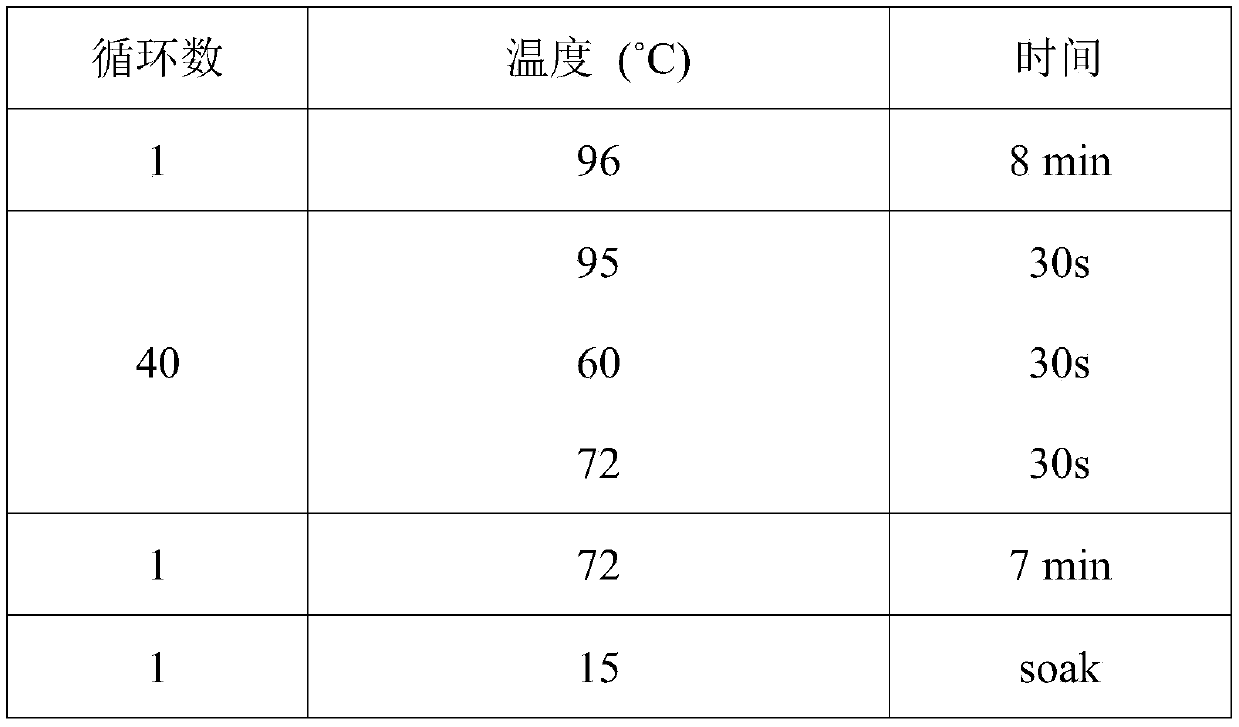 Sample treatment reagent and kit for detecting mycobacterium tuberculosis nucleic acid and nucleic acid amplification method of mycobacterium tuberculosis