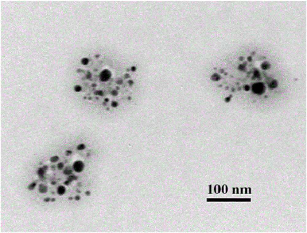 Mitochondria-targeted polysaccharide nano preparation and preparing method thereof