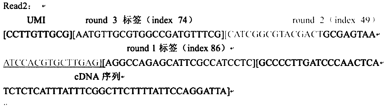 The invention discloses a data classification method for single cell sequencing