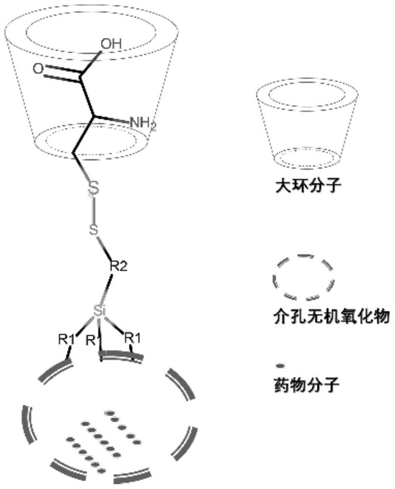 Ph and reducing agent-responsive carrier and preparation method based on pseudorotaxane molecular structure