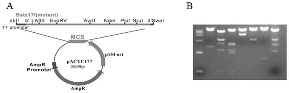 A chimeric recombinant vaccine strain of porcine reproductive and respiratory syndrome and its application