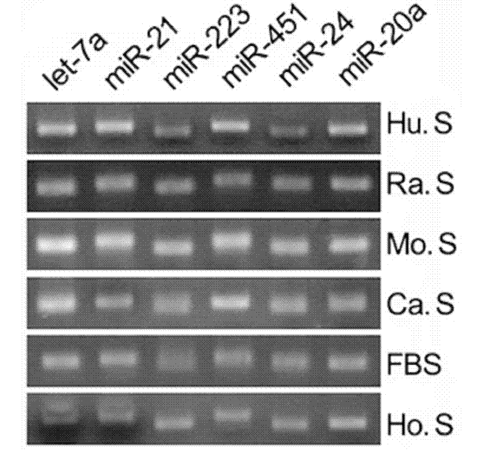 Gastric cancer detection marker and detecting method thereof, kit and biochip