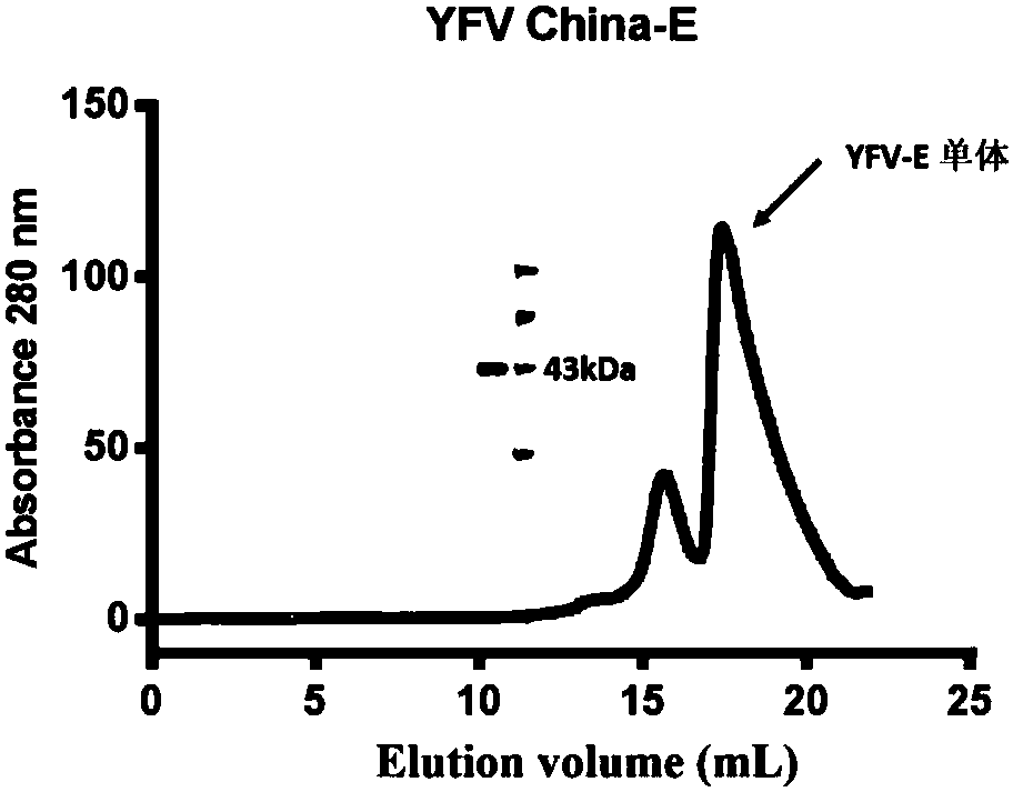High-affinity human monoclonal antibody against yellow fever virus and application thereof