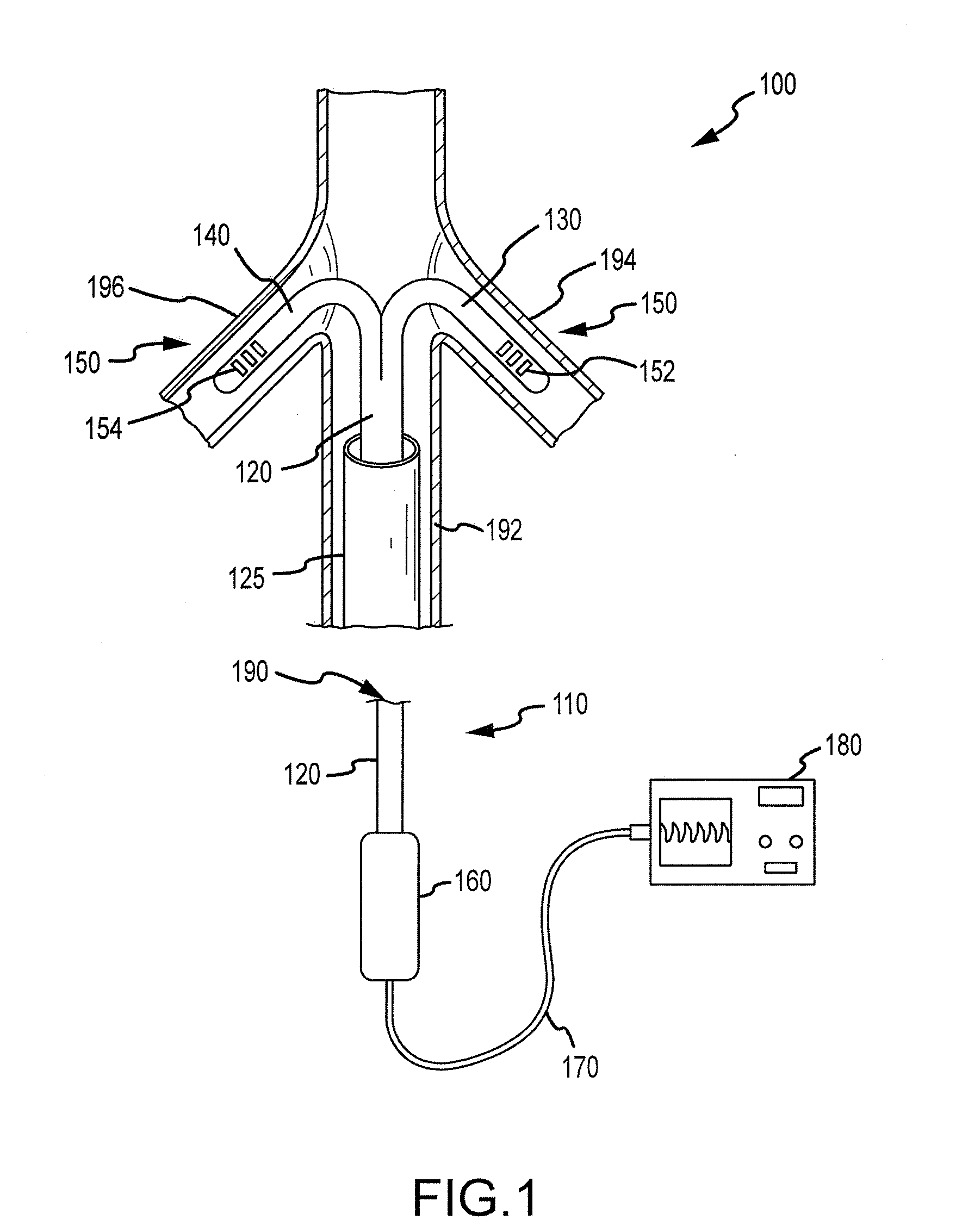 Renal assessment systems and methods