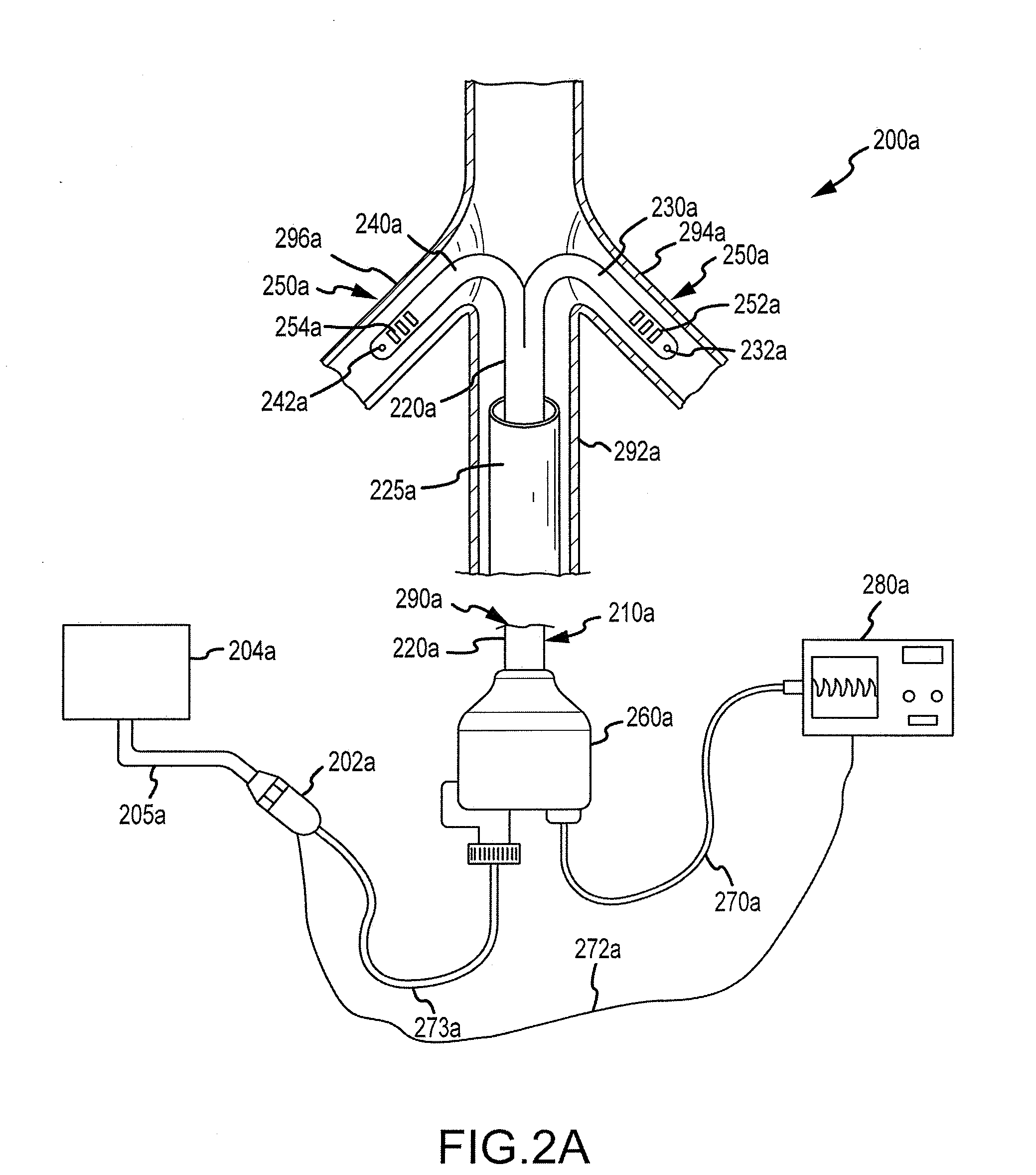 Renal assessment systems and methods