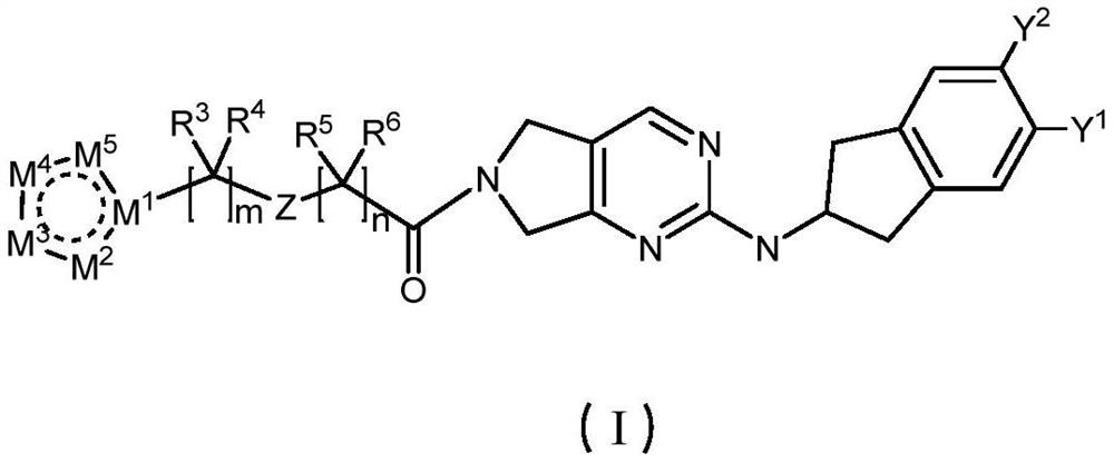 Pyrrolopyrimidine derivative and application thereof