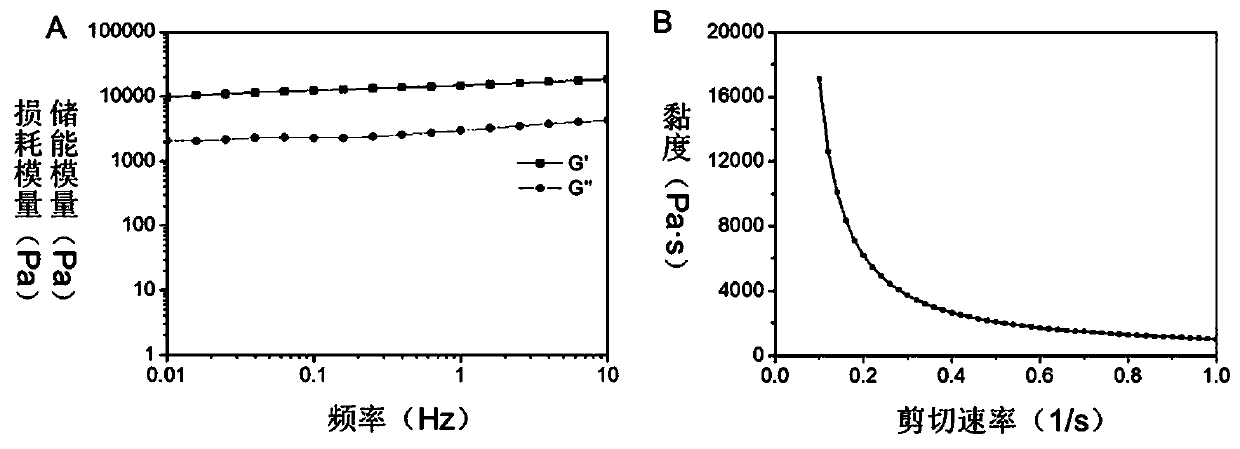 Injectable antimicrobial peptide hydrogel and preparation method thereof