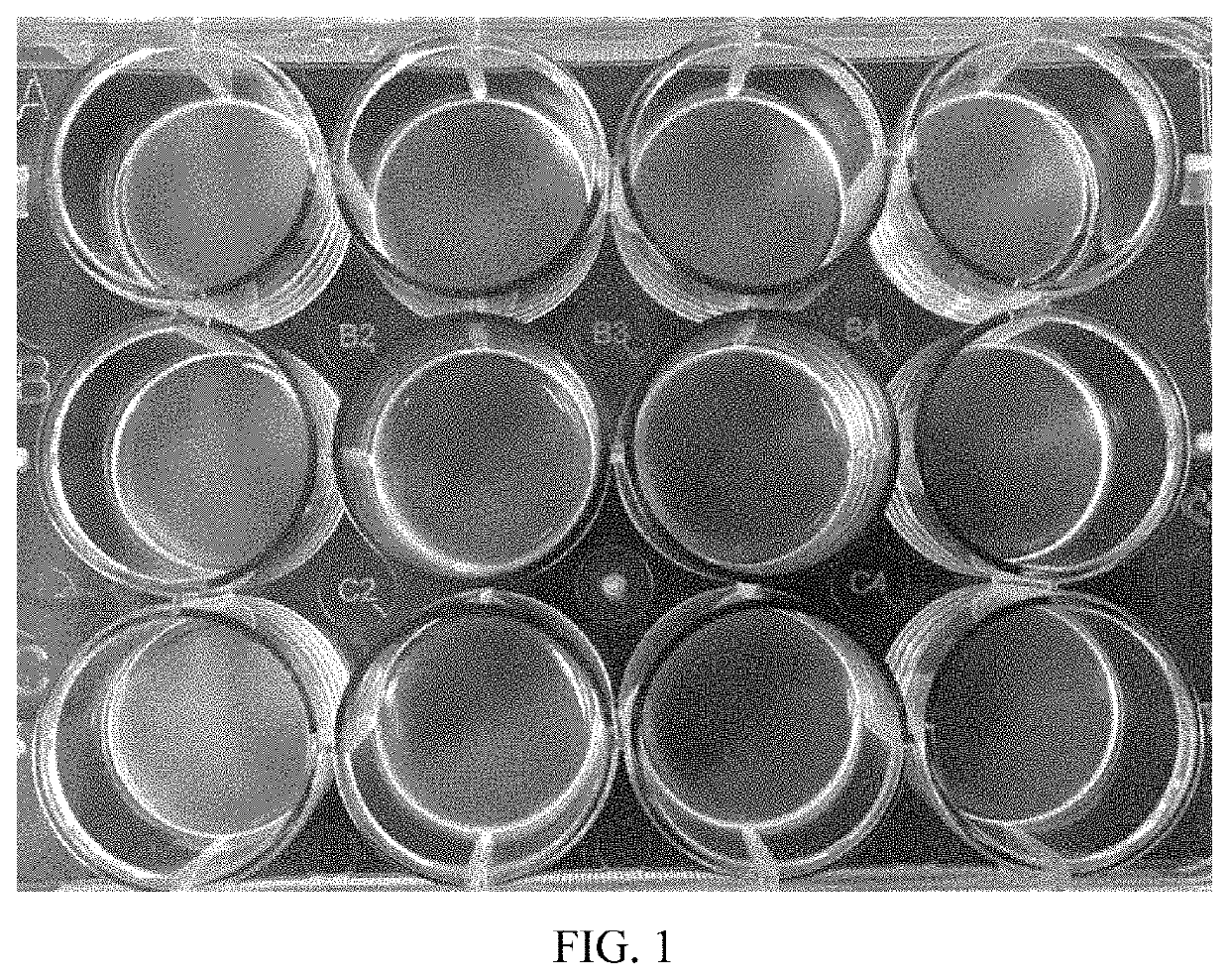 Method for circulating tumor cells isolation