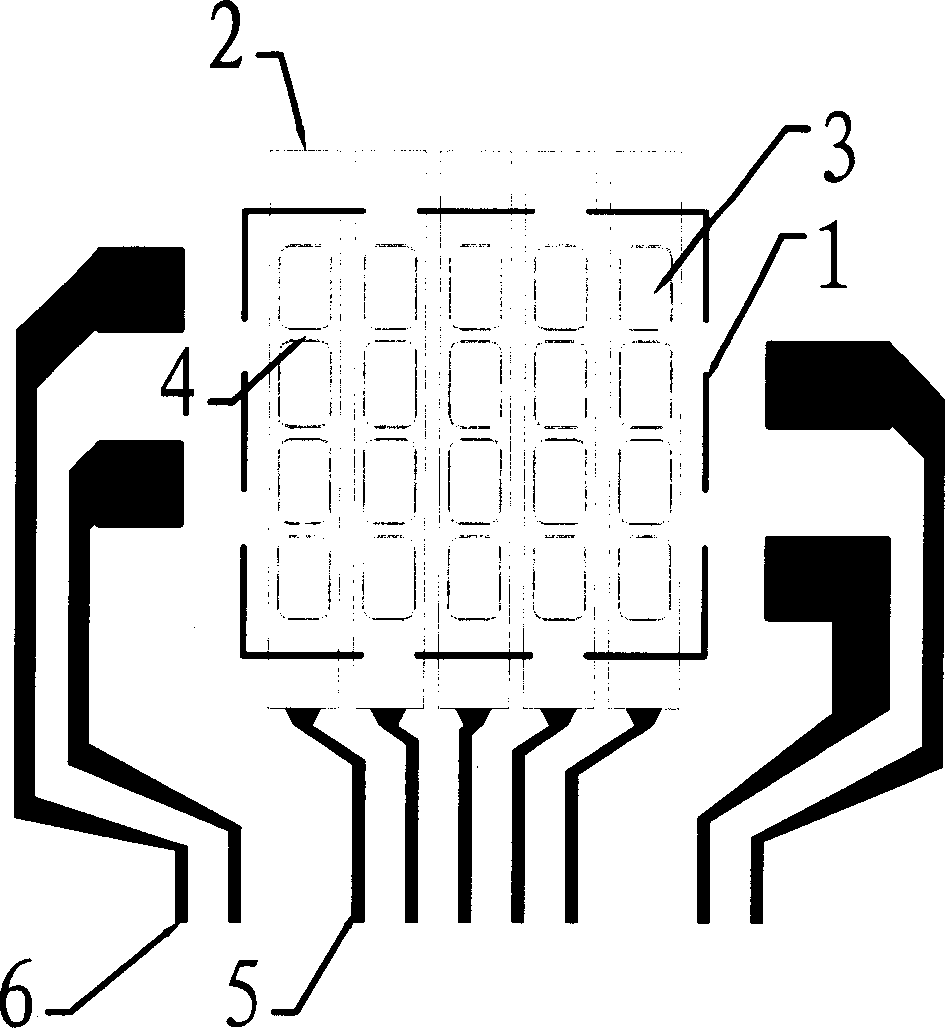 Organic electroluminescent display, and prepartion method
