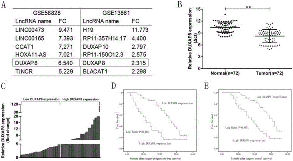Long non-coding RNA (lncRNA) and application thereof to diagnosis/treatment of gastric cancers
