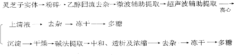 Preparation method of ganoderma lucidum polysaccharide with high yield