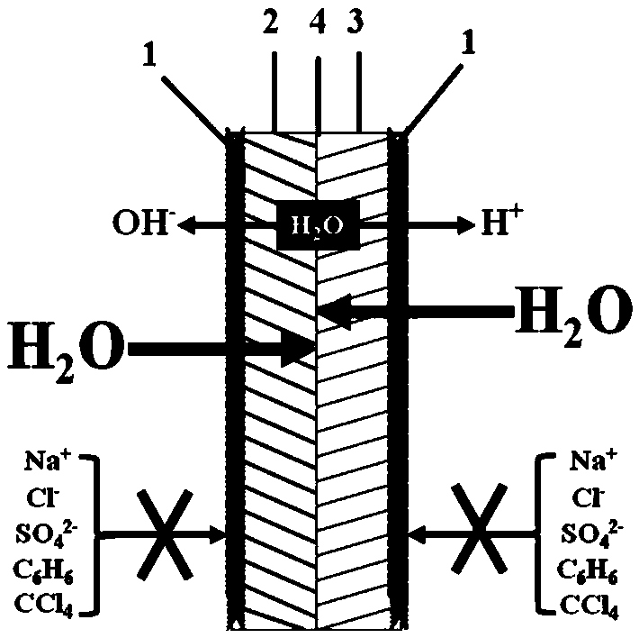 Surface graphdiyne-carried bipolar membrane and preparation method thereof