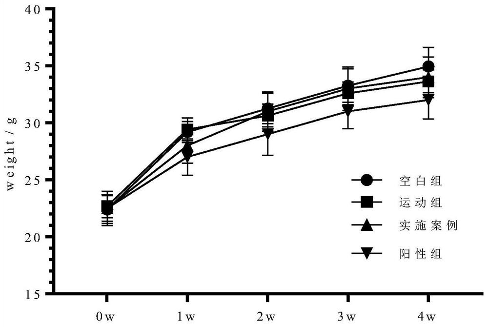 A medicinal and edible homologous composition for enhancing muscle performance and relieving exercise-induced fatigue