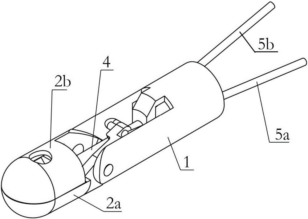 Continuous-sampling biopsy forceps