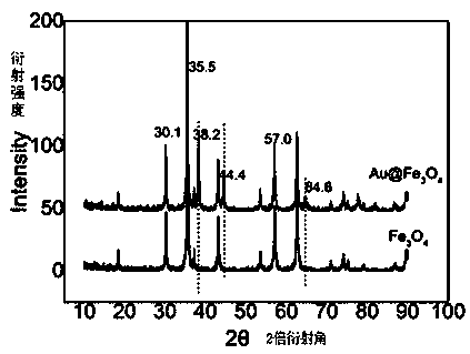 Preparation method and application of electrochemical sensor for non-coding RNA