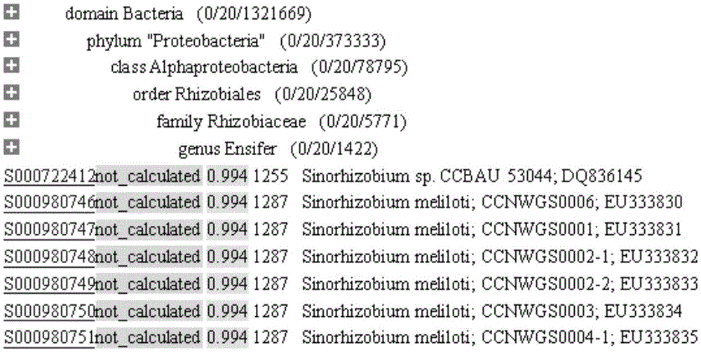 Sinorhizobium meliloti and application thereof