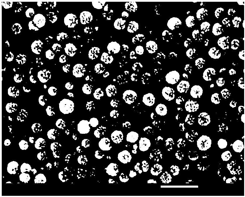 Preparation method of amino functional magnetic silicon dioxide adsorption material