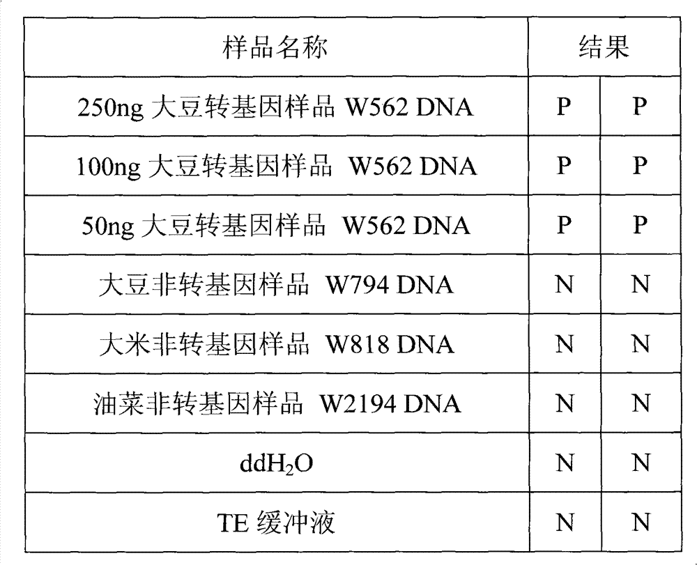Primer group for testing Roundup Ready transgenic soy bean EPSPS gene, rapid diagnosis kit and testing method thereof