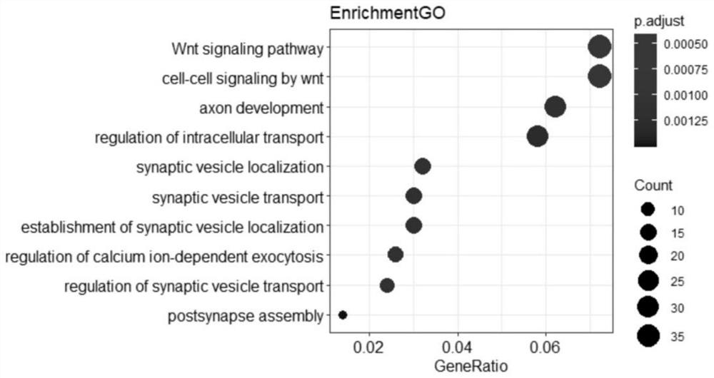 Gene markers for prognosis evaluation of colorectal cancer