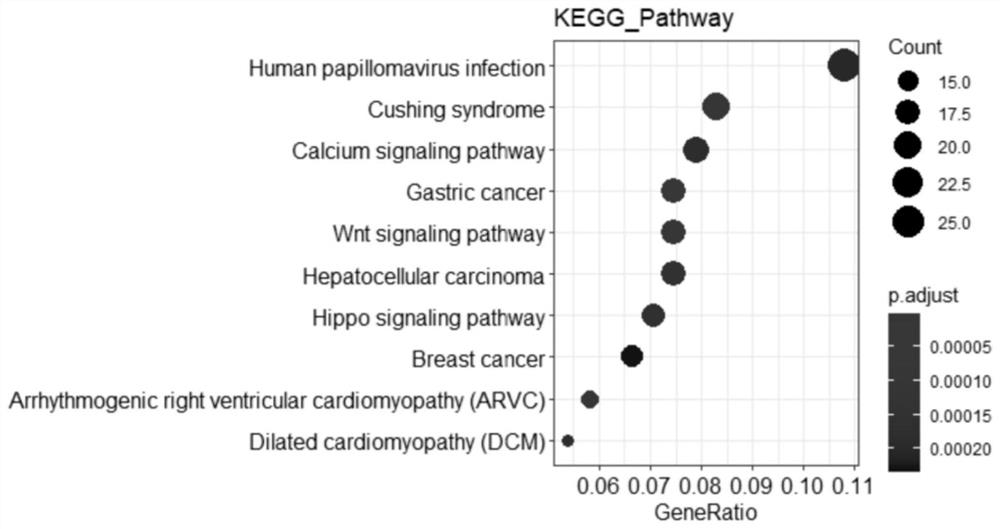 Gene markers for prognosis evaluation of colorectal cancer