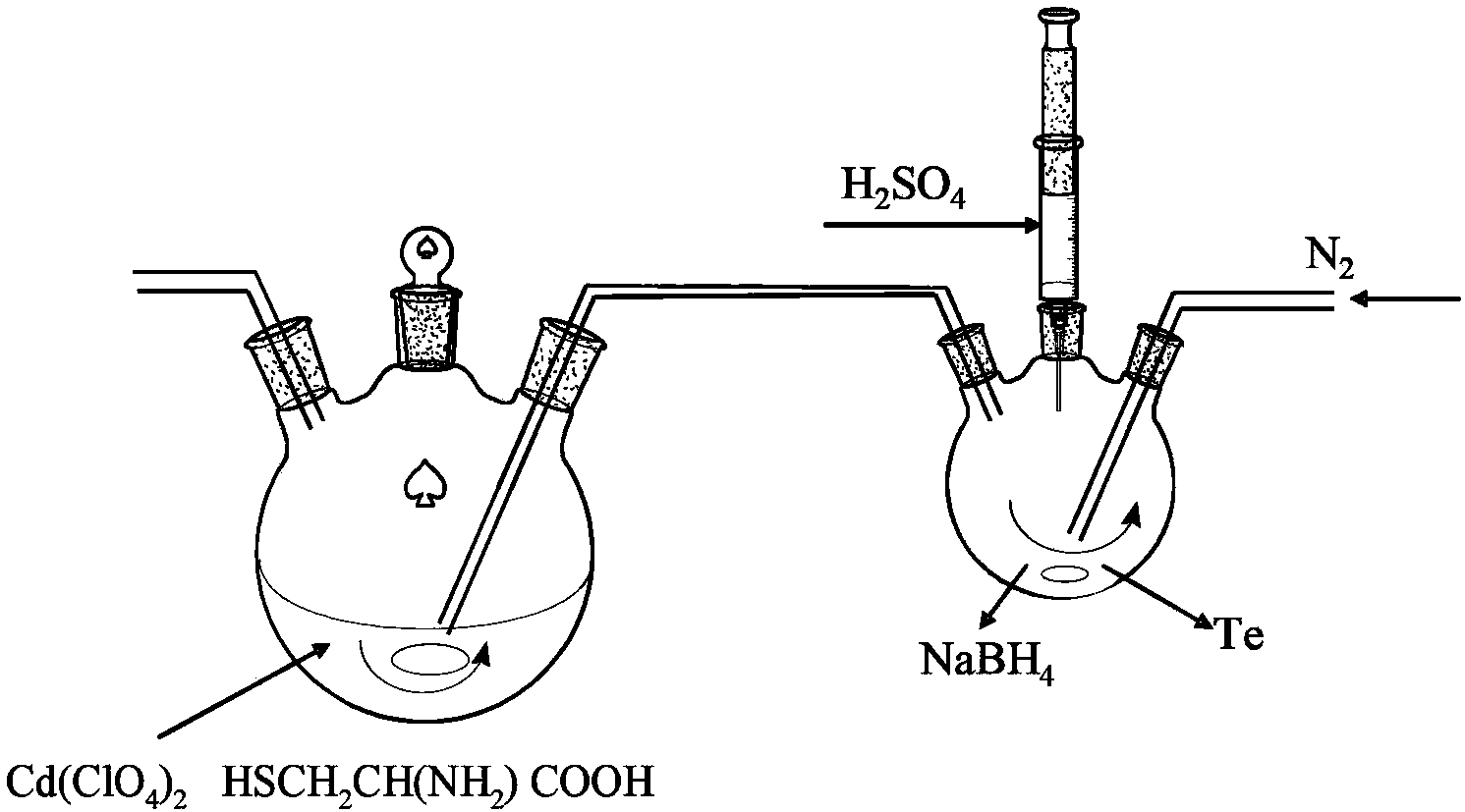 Preparation of cysteine surface modified CdTe or CdTe/CdS quantum dot and method for detecting arsenic by using quantum dot