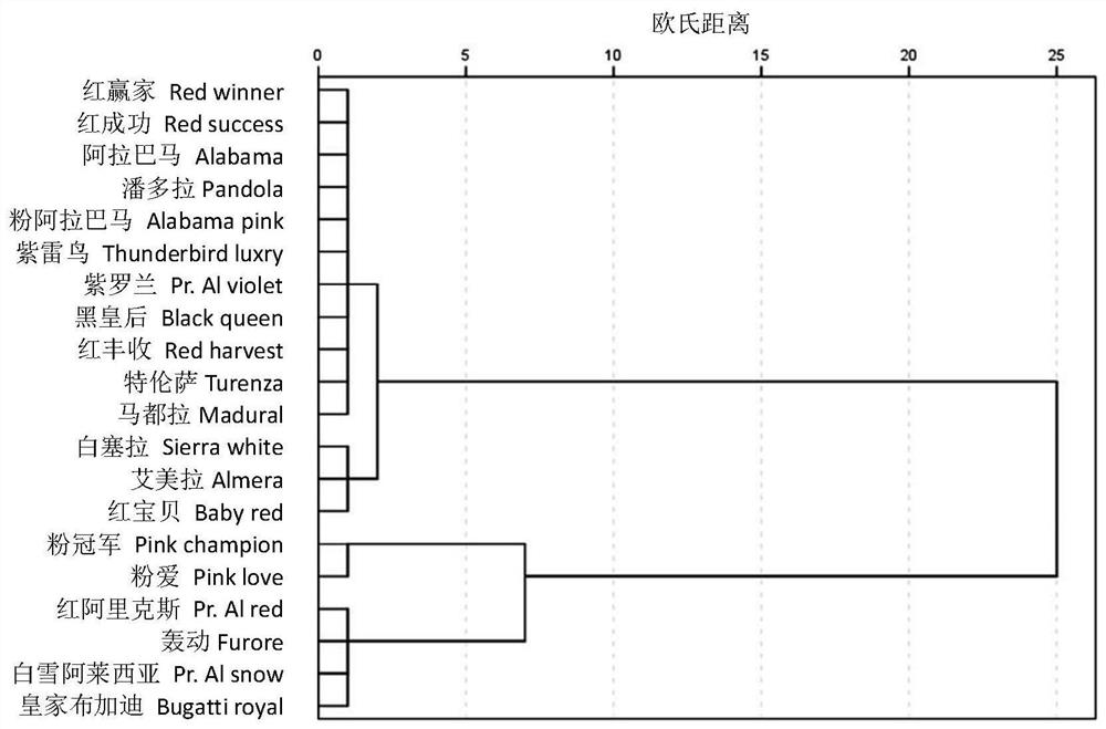 A method for evaluating the cold resistance of Anthurium anthurium in flowering stage