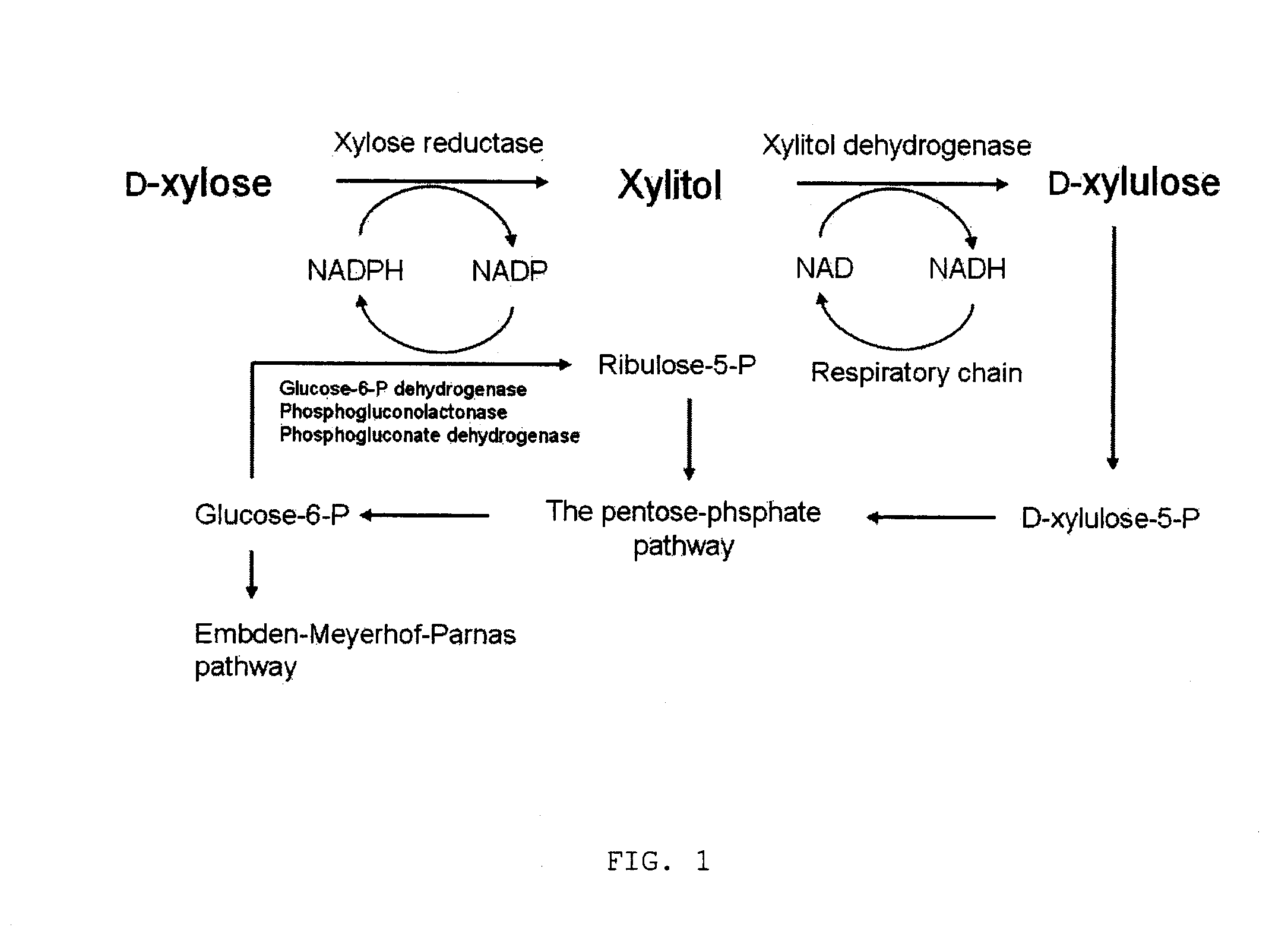 Method for Manufacturing Xylitol with High-Yield and High-Productivity
