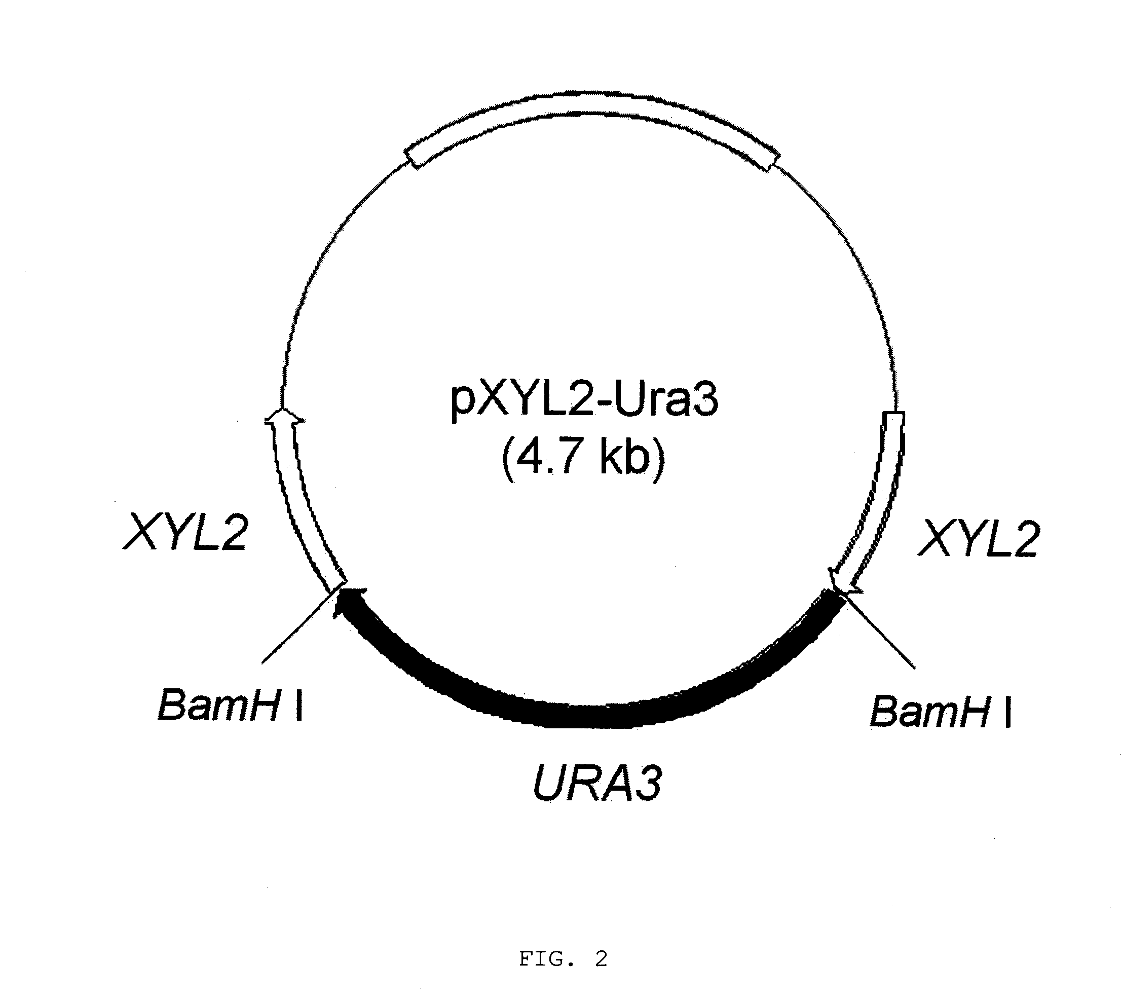 Method for Manufacturing Xylitol with High-Yield and High-Productivity