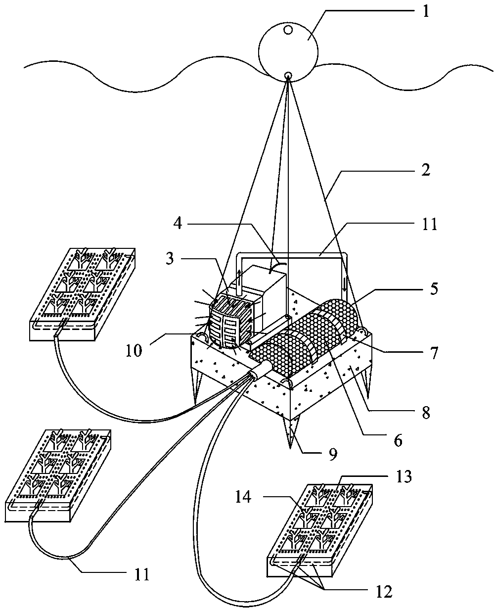 A coral culture device that promotes coral growth by reducing seawater acidity